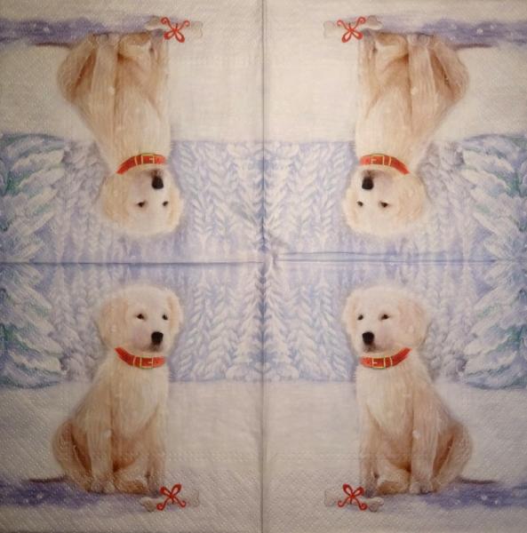 HUN-329 Hunde - 3-lagig - Paw